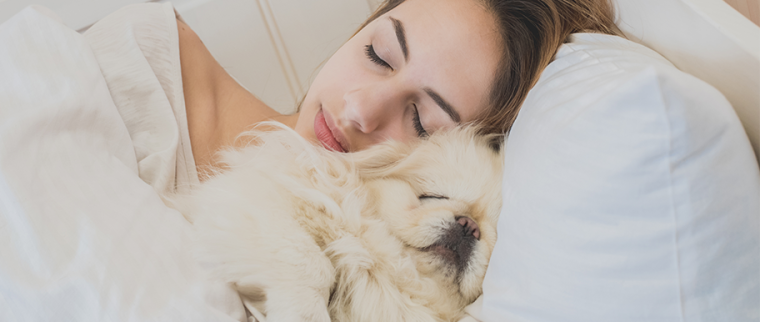 Femme dort avec son chien